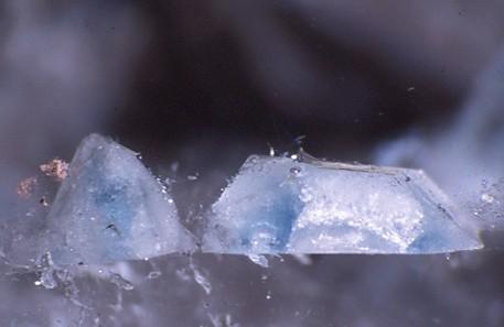 apatite in quartz - Brazil  - 6-2-45 dup Feather.jpg (Author: John S. White)