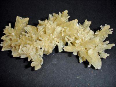 Gypsum. Prado del Rey. Cádiz. Andalusia. Spain. 12 cm. (Author: nimfiara)