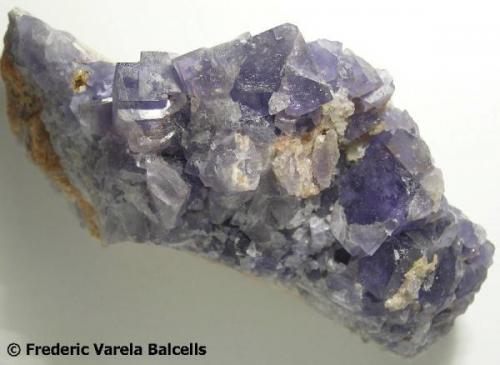 Fluorita.
Mines de Sant Marçal, Viladrau-Massís del Montseny-Osona, Girona, Catalunya, España
10 x 5 x 3 cm. (Autor: Frederic Varela)