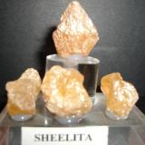 SCHEELITA Mina Conchita - Estepona - Mlalaga cristales de 1 y 2 cm (Autor: Mijeño)