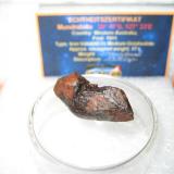Meteorito metálico Mundrabilla (Australia) (Autor: Khalid)