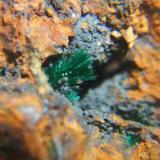 Malaquita mina cortijo Virginia Escullar Almeria, cristales 5mm (Autor: Nieves)