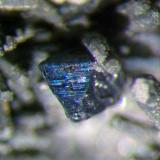 Detalle cristal de Bornita, tamaño del cristal 1,5 mm. Col. y foto Nacho Gaspar. (Autor: Nacho)