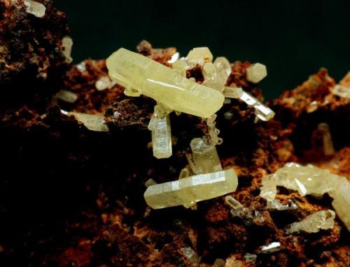 Gold and Quartz
Wright Hardgrave Mine, Kirkland Lake, Ontario, Canada
5cmx6cm (Author: derrick)