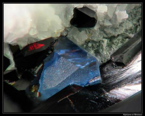 Benitoita, Neptunita y Natrolita de Benitoite Gem Mine, San Benito County, California, USA
Foto: Fred (Ploum) 
http://www.mineral-forum.com/message-board/viewtopic.php?p=2236#2236 (Autor: Jordi Fabre)