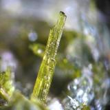 EPIDOTA. albatera, cristal de 1,5 mm.jpg (Autor: josminer)