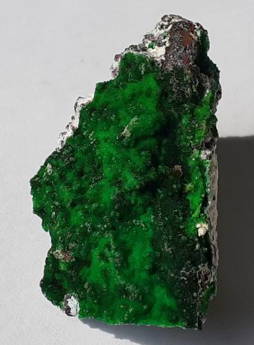 Conichalcite<br />Mina Gold Hill, Gold Hill, Distrito Gold Hill, Condado Tooele, Utah, USA<br />4 x 2 cm<br /> (Author: Volkmar Stingl)