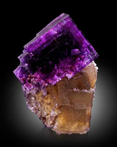 Fluorita<br />Mina Annabel Lee, Sub-Distrito Harris Creek, Condado Hardin, Illinois, USA<br />6 x 5 x 8.5 cm / cristal principal: 6.5 cm<br /> (Autor: Museo MIM)