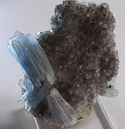 Baryte, Calcite<br />Minas Jebel Ouichane, Beni Bou Ifrour, Nador, Provincia Nador, Región Oriental, Marruecos<br />6,5 x 6 cm<br /> (Author: Volkmar Stingl)