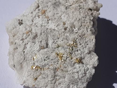 Gold<br />Ciamousira Mountain, Brusson, Val d'Ayas, Aosta Valley (Val d'Aosta), Italy<br />3 x 2,3 cm<br /> (Author: Volkmar Stingl)