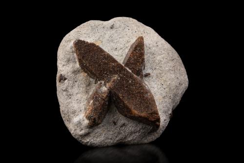 Staurolite<br />Pestsovye Keivy, Montes Keivy, Península Kola, Murmanskaja Oblast, Región Norte, Rusia<br />7.5 x 7.5 x 4 cm / main crystal: 6.6 cm.<br /> (Author: MIM Museum)