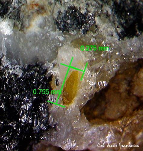 Wulfenita<br />Mina Torrent, Mont-Ras, Comarca Baix Empordà, Gerona / Girona, Cataluña / Catalunya, España<br />0´75 x 0´27 mm.<br /> (Autor: Jesus Franquesa Baucells)