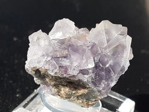 Fluorite<br />Túnel tren alta velocidad Chengnan, Wuyishan, Prefectura Nanping, Provincia Fujian, China<br />2 x 1,5 cm<br /> (Author: Volkmar Stingl)