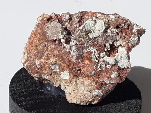 Quartz, Nordstrandite<br />Terlano (Terlan), Provincia Bolzano, Trentino-Alto Adige (Trentino-Südtirol), Italia<br />3 x 3 cm<br /> (Author: Volkmar Stingl)