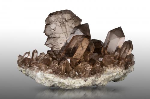 Quartz<br />Glaciar Feldschijen, Göscheneralp, Valle Göschenen, Göschenen, Valle Reuss, Uri, Suiza<br />17 x 10 x 11 cm / main crystal: 7.0 cm<br /> (Author: MIM Museum)