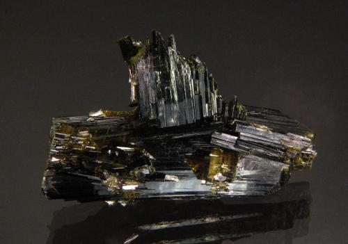 Epidote<br />Knappenwand, Zona Knappenwand, Valle Untersulzbach, Hohe Tauern, Salzburgo/Salzburg, Austria<br />6.0 x 3.6 x 2.0 cm<br /> (Author: Michael Shaw)