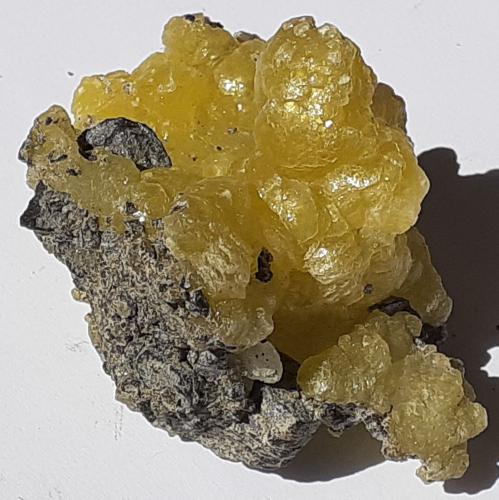 Brucite<br />Distrito Killa Saifullah, Balochistan (Baluchistan), Paquistán<br />6,5 x 5 cm<br /> (Author: Volkmar Stingl)