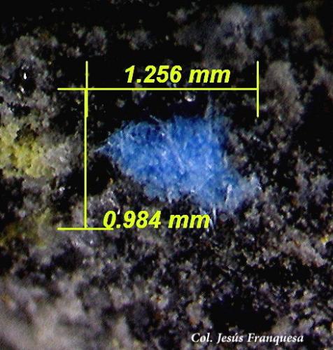 Cianotriquita.<br />Mina Maura (Mina San Miguel), Ribes de Freser, Comarca Ripollès, Gerona / Girona, Cataluña / Catalunya, España<br />1´25 x 0´98 mm.<br /> (Autor: Jesus Franquesa Baucells)