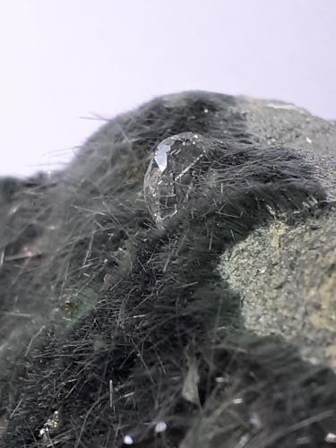 Apatite, Actinolite (variety byssolite), Epidote<br />Knappenwand, Zona Knappenwand, Valle Untersulzbach, Hohe Tauern, Salzburgo/Salzburg, Austria<br />6,5 x 3 cm<br /> (Author: Volkmar Stingl)