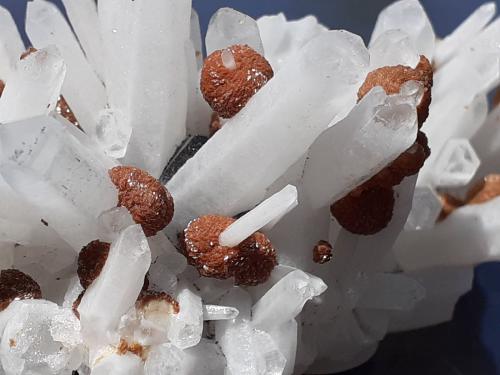 Quartz (variety Milky Quartz), Siderite, Sphalerite<br />Mina Stan Trg (Stari Trg), Complejo Trepča, Valle Trepča, Kosovska Mitrovica, Distrito Kosovska Mitrovica, Kosovo<br />5 x 3,5 cm<br /> (Author: Volkmar Stingl)