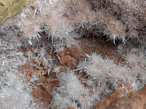 Aragonite<br />Grissianer Graben, Grissiano, Nalles (Nals), Provincia autónoma Tirol del Sur, Trentino-Alto Adige (Trentino-Südtirol), Italia<br />7 x 6 cm<br /> (Author: Volkmar Stingl)