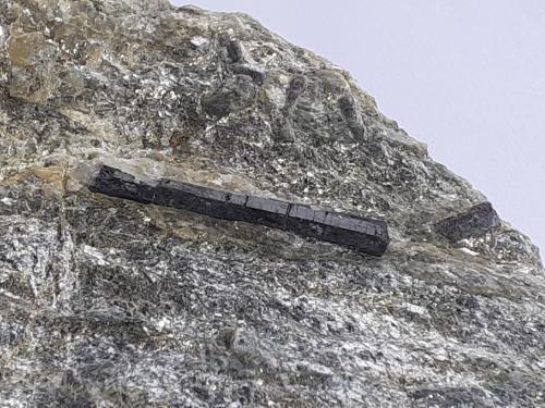 Tourmaline (variety Schorl)<br />Finstertal, Kühtai, Silz, Distrito Imst, Tirol Norte, Tirol, Austria<br />9 x 8 cm<br /> (Author: Volkmar Stingl)