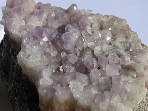 Quartz (variety amethyst)<br />Laion (Lajen), Provincia autónoma Tirol del Sur, Trentino-Alto Adige (Trentino-Südtirol), Italia<br />3,5 x 2,5 cm<br /> (Author: Volkmar Stingl)