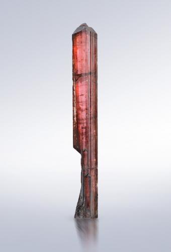 Väyrynenite<br />Shengus (Shingus), Distrito Roundu, Gilgit-Baltistan (Áreas del Norte), Paquistán<br />1.5 x 0.5 x 9 cm / main crystal: 8.8 cm.<br /> (Author: MIM Museum)