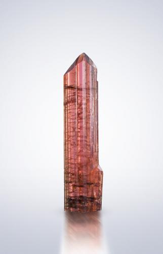 Väyrynenita<br />Shengus (Shingus), Distrito Baltistán, Gilgit-Baltistan (Áreas del Norte), Paquistán<br />1.5 x 0.5 x 5.5 cm / cristal principal: 5.3 cm<br /> (Autor: Museo MIM)