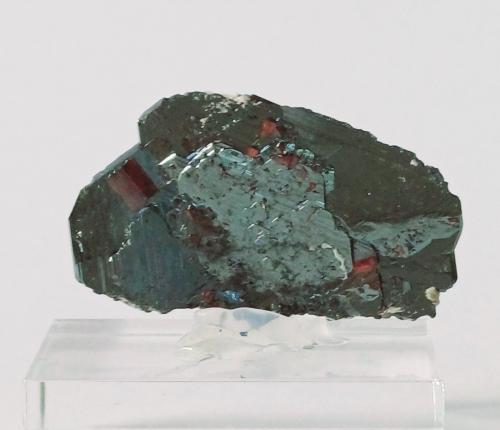 Hematite and Rutile<br />Cavradi, Valle Curnera, Tujetsch (Tavetsch), Valle Vorderrhein, Grisones (Grischun; Graubünden), Suiza<br />40mm x 25mm x 5mm<br /> (Author: Philippe Durand)