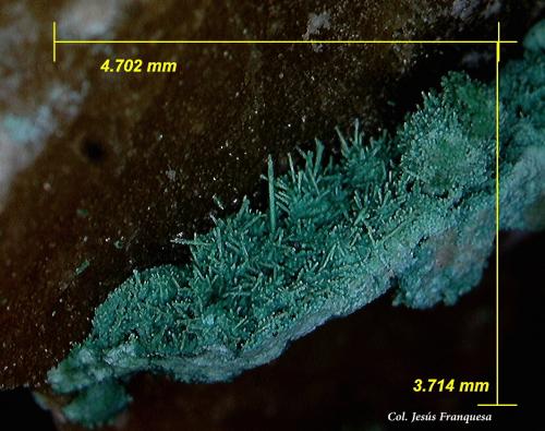 Cobre pseudomórfico de Malaquita.<br />El Pinar de Bédar, El Pinar, Bédar, Comarca Levante Almeriense, Almería, Andalucía, España<br />4´70x 3´71 mm.<br /> (Autor: Jesus Franquesa Baucells)