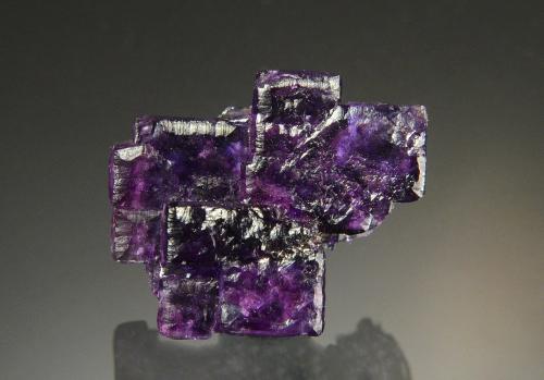 Fluorite<br />Mina Ojuela, Mapimí, Municipio Mapimí, Durango, México<br />2.3 x 2.0 cm<br /> (Author: Michael Shaw)