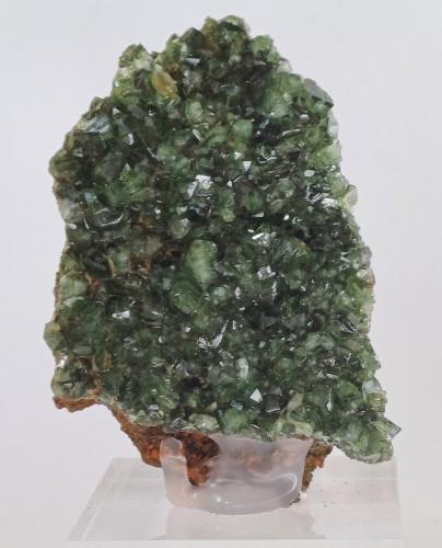 LUDLAMITE<br />Cabeça do Cachorro claim, São Gabriel da Cachoeira, Cabeça do Cachorro area, Amazonas, Brazil<br />55mm x 80mm x 25mm<br /> (Author: Philippe Durand)