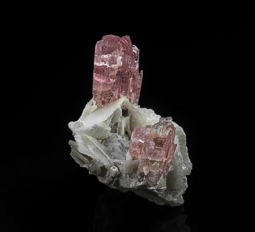 Elbaite<br />Paprok, Distrito Kamdesh, Provincia Nuristan, Afganistán<br />4.5 x 2.9 cm<br /> (Author: am mizunaka)