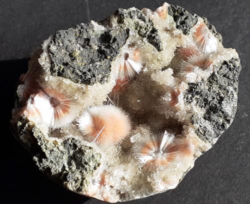 Mesolite on Thomsonite<br />Khadakwani, Distrito Khargone, Madhya Pradesh, India<br />6 x 4,5 cm<br /> (Author: Volkmar Stingl)