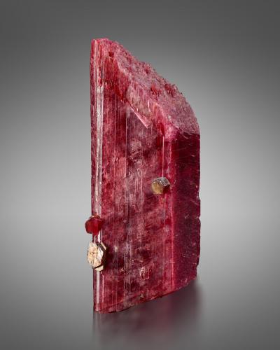 Rhodonite<br />Mina Broken Hill Proprietary, Broken Hill, Condado Yancowinna, Nueva Gales del Sur, Australia<br />3.5 x 2.5 x 9.5 cm / main crystal: 9.5 cm<br /> (Author: MIM Museum)