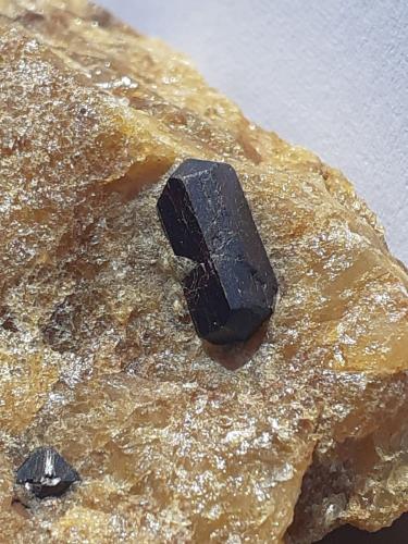 Rutile<br />Oropa, Provincia Biella, Piamonte (Piemonte), Italia<br />4,5 x 2,5 cm<br /> (Author: Volkmar Stingl)