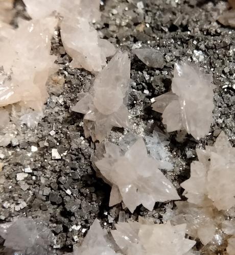 Calcite and Pyrite<br />Mina Campiano, Montieri, Provincia Grosseto, Toscana, Italia<br />FOV 9 mm<br /> (Author: Firmo Espinar)