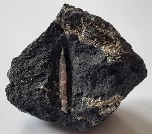 Corundum, Pyrite<br />Mina Graphite, Amstall, Mühldorf, Krems-Land, Waldviertel, Baja Austria/Niederösterreich, Austria<br />3 x 3 cm<br /> (Author: Volkmar Stingl)