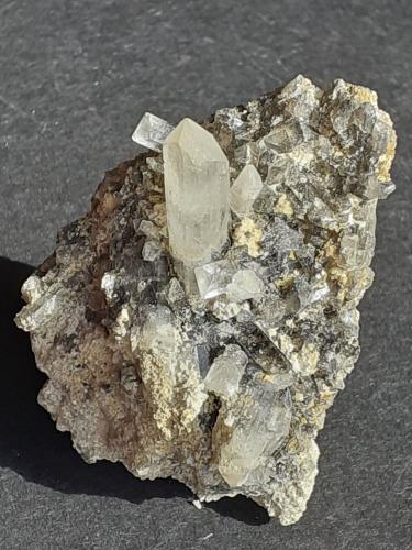 Celestine<br />Yacimiento Barranco del Mulo, Barranco del Mulo, Ulea, Comarca Valle de Ricote, Región de Murcia (Murcia), España<br />5 x 3,5 cm<br /> (Author: Volkmar Stingl)