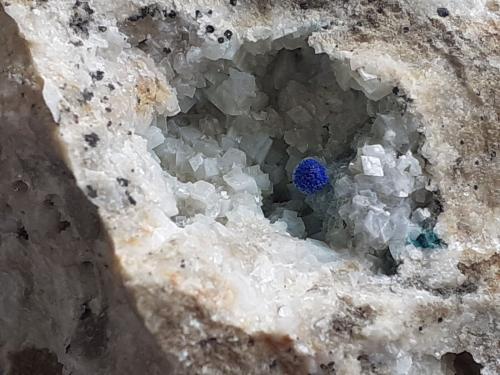 Azurite, Dolomite<br />Distrito minero Ringenwechsel, Troi, Distrito Schwaz, Valle Inn, Tirol Norte, Tirol, Austria<br />FoV 2,5 x 2 cm<br /> (Author: Volkmar Stingl)