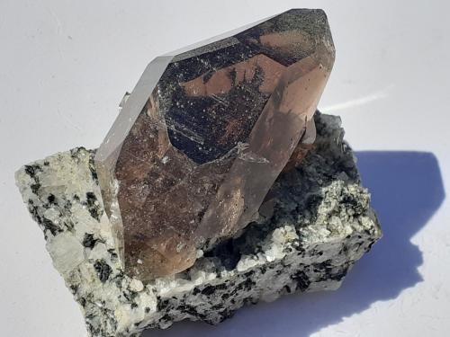 Quartz (variety Smoky Quartz)<br />Val Giuv, Tujetsch (Tavetsch), Valle Vorderrhein, Grisones (Grischun; Graubünden), Suiza<br />4,5 x 3 cm<br /> (Author: Volkmar Stingl)