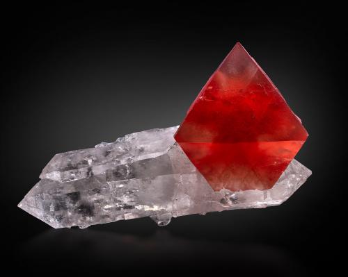 Fluorita en Cuarzo<br />Planggenstock, Uri, Suiza<br />21 x 13 x 9 cm / cristal principal: 10.8 cm<br /> (Autor: Museo MIM)