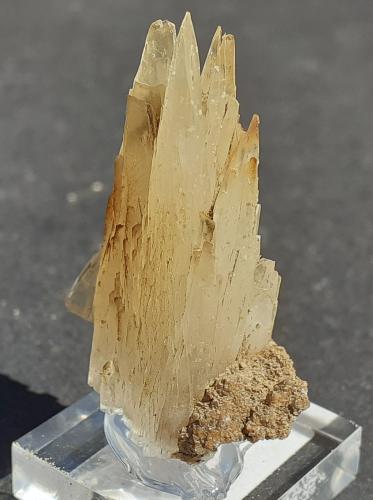 Aragonite<br />Depósito de magnesita, Bürglkopf, Hochfilzen, Distrito Kitzbühel, Tirol Norte, Tirol, Austria<br />3 x 1,5 cm<br /> (Author: Volkmar Stingl)