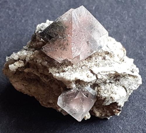 Fluorite<br />Tour Noir, Bassin d'Argentière, Mont Blanc, Chamonix, Haute-Savoie, Auvergne-Rhône-Alpes, Francia<br />1,7 x 1,5 cm<br /> (Author: Volkmar Stingl)