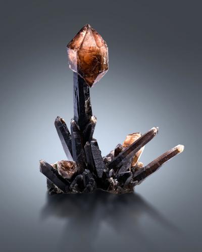 Quartz (varieties smoky and scepter)<br />Monte Petersen, Zona Hallelujah Junction, Condado Washoe, Nevada, USA<br />22.5 x 17 x 30 cm / main crystal: 29 cm<br /> (Author: MIM Museum)