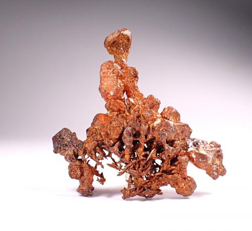 Copper (variety native copper)<br />Mina New Cornelia, Ajo, Montes Little Ajo, Distrito Ajo, Condado Pima, Arizona, USA<br />73 mm x 53 mm x 14 mm<br /> (Author: Don Lum)