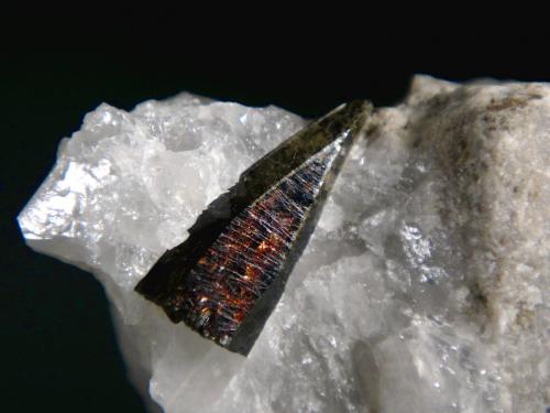 Aegirina, Cuarzo<br />Rundemyr, Øvre Eiker, Buskerud, Noruega<br />Cristal de 2,1 cm.<br /> (Autor: Antonio P. López)