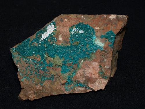 Dioptase<br />Mina Christmas, Christmas, Distrito Banner, Montes Dripping Spring, Condado Gila, Arizona, USA<br />8.5x5.7x1.5 cm''s<br /> (Author: Joseph DOliveira)