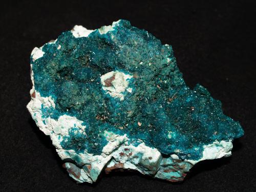 Dioptase<br />Mina Morenci, Morenci, Distrito Copper Mountain, Montes Shannon, Condado Greenlee, Arizona, USA<br />8.2x5x3 cm''s<br /> (Author: Joseph DOliveira)